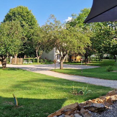 Gite L'Enclos O Rendez-Vous Roquefeuil-Pays De Sault- Avec Jardin Extérieur photo