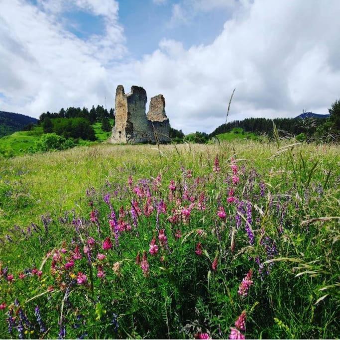 Gite L'Enclos O Rendez-Vous Roquefeuil-Pays De Sault- Avec Jardin Extérieur photo