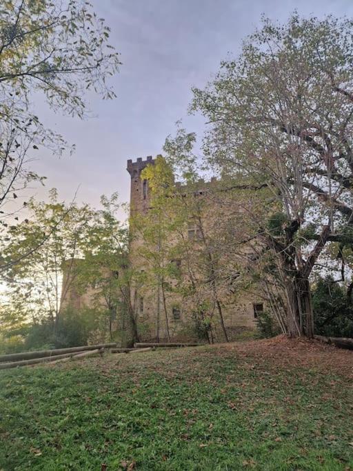 Gite L'Enclos O Rendez-Vous Roquefeuil-Pays De Sault- Avec Jardin Extérieur photo