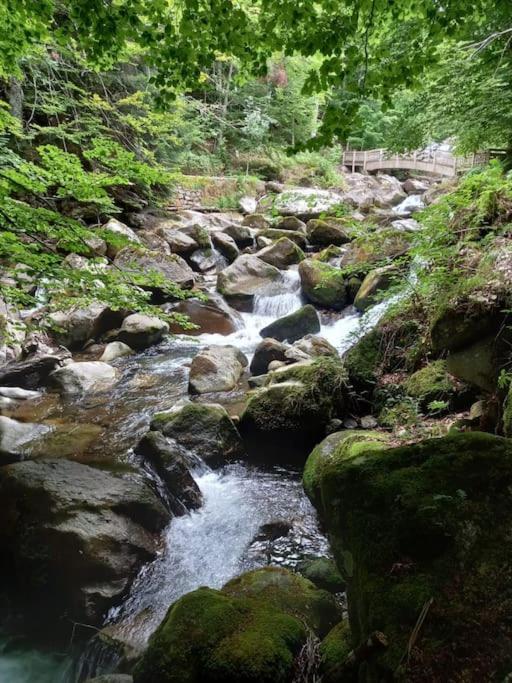 Gite L'Enclos O Rendez-Vous Roquefeuil-Pays De Sault- Avec Jardin Extérieur photo