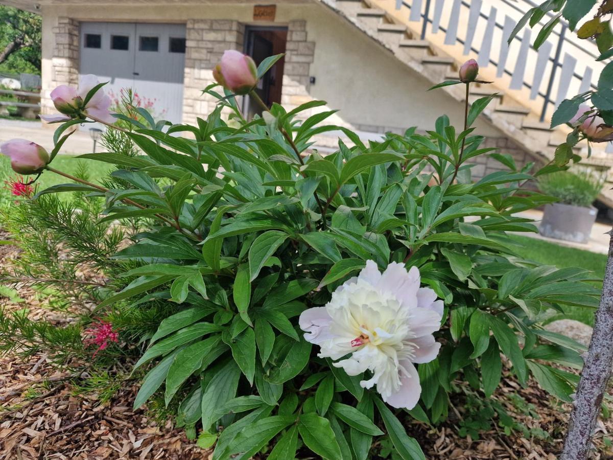 Gite L'Enclos O Rendez-Vous Roquefeuil-Pays De Sault- Avec Jardin Extérieur photo